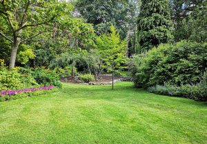 Optimiser l'expérience du jardin à Beney-en-Woevre